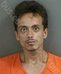 ALVAREZPINTO,DANIEL ALBERTO | 2023-08-31 Collier County, Florida Booking