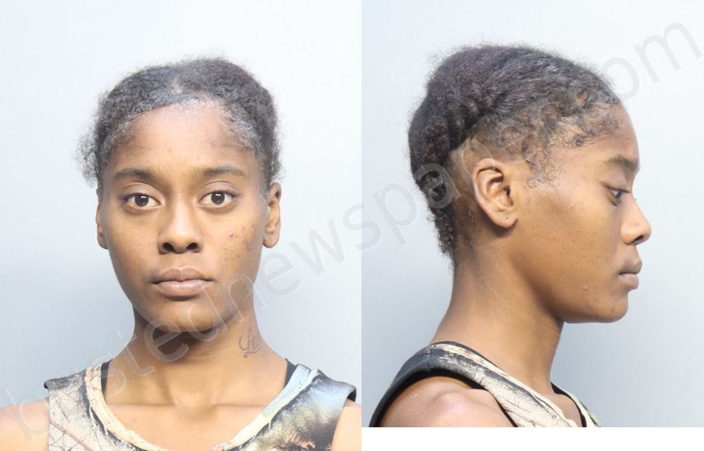 HARDEMAN, ASHLEY MARIE #, Miami-Dade County, Florida - 2023-09-03 18:28:00