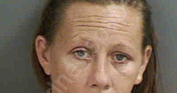 <B>VANHORN</B>,<B>ALLISON</B> <B>KAYE</B> #, Collier County, Florida - 2023-09-03