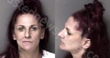<B>BARNES</B>, <B>CRYSTAL</B> DAWN #, Gaston County, North Carolina - 2023-09-05 00:01:00