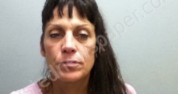 <B>LAWTON</B>, <B>JESSICA</B> <B>PILSON</B> #, Lee County, North Carolina - 2023-09-06 15:09:00
