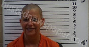 TOUSEY, DAWNEEKA CAROLLO | 2023-09-07 00:19:00 Cherokee County, North Carolina Booking