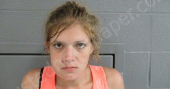 RINEHART, DANIELLE MARIA | 2023-09-07 02:00:00 Taylor County, West Virginia Booking