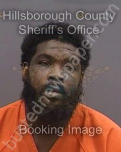 SMALL,TERRANCE JR | 2023-09-08 16:19:00 Hillsborough County, Florida Booking