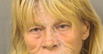 <B>JOHNSON</B>, <B>SUSAN</B> <B>LYNN</B> #, Palm Beach County, Florida - 2023-09-09 00:27:00