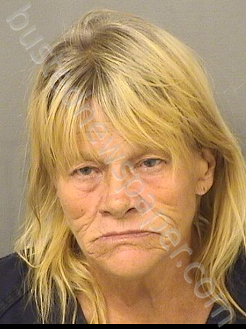 JOHNSON, SUSAN LYNN #, Palm Beach County, Florida - 2023-09-09 00:27:00