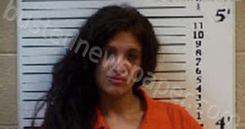 MCCOY, CHRISTINA LEIGH | 2023-09-09 18:19:00 Cherokee County, North Carolina Booking