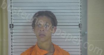 JONES, DOMETRIC D | 2023-09-09 21:00:00 Taylor County, Kentucky Booking