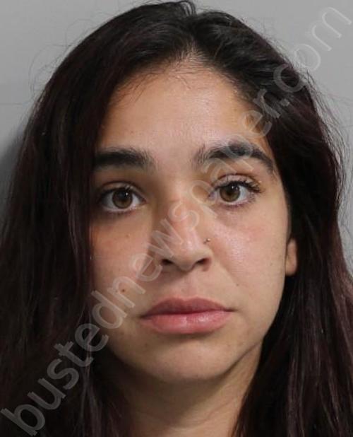 ANDINO, TAINA CHELSEY #, Polk County, Florida - 2023-09-12