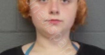 CRISELL, LILLIAN E | 2023-09-12 15:27:00 Delaware County, New York Booking