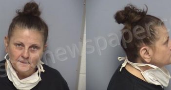 HEARN, BRENDA ANN | 2023-09-12 Roanoke County, Virginia Booking