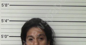 SALINAS, LISA MARIE | 2023-09-13 Kerr County, Texas Booking
