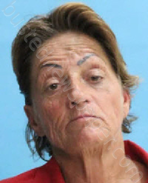 BALLARD, AMY SUE #, Desoto County, Florida - 2023-09-13 20:05:00