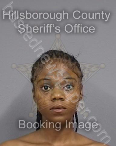 HENDLEY-DIXON,SKYLA #, Hillsborough County, Florida - 2023-09-13 10:10:00
