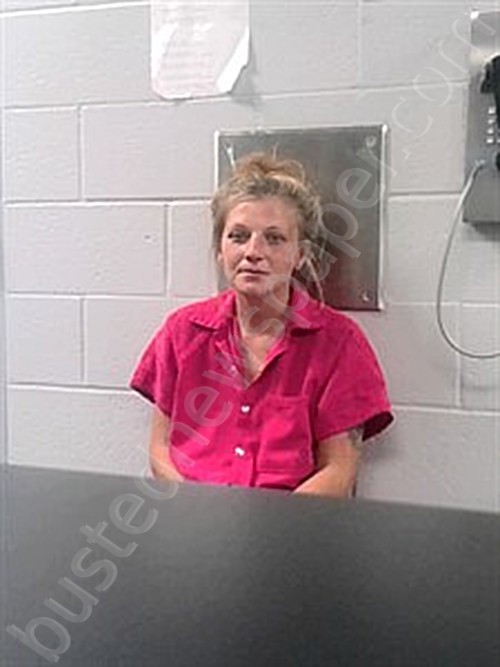 WILLIAMS, MICHELLE LEE #, Franklin County, Arkansas - 2023-09-14 21:46:00