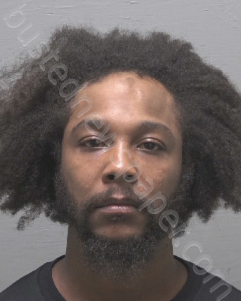 WALCOTT, MALAKAI ABDUS SABUR #, New Hanover County, North Carolina - 2023-09-15