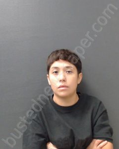 DIAZ GALICIA, ANA LAURA | 2023-09-15 Comal County, Texas Booking