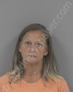 TINA LOUISE DAVIS | 2023-09-15 Johnston County, North Carolina Booking