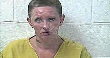 <B>NELSON</B>, <B>JESSICA</B> <B>DAWN</B> #, Daviess County, Kentucky - 2023-09-19 12:30:00