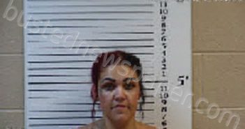 SHOOK, BROOKLYN CIARA | 2023-09-20 10:14:00 Cherokee County, North Carolina Booking