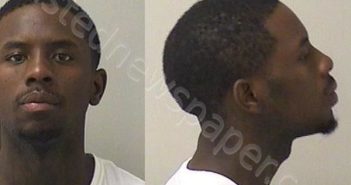 <B>ROBINSON</B>, <B>HERMAN</B> <B>T</B> #, Kane County, Illinois - 2023-09-20 21:25:00