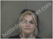 YOUNG, CHRISTINA | 2023-09-23 Harnett County, North Carolina Booking