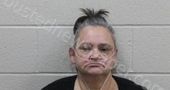 KINNINA LYNN ADAMS | 2023-09-26 09:05:00 Andrew County, Missouri Booking