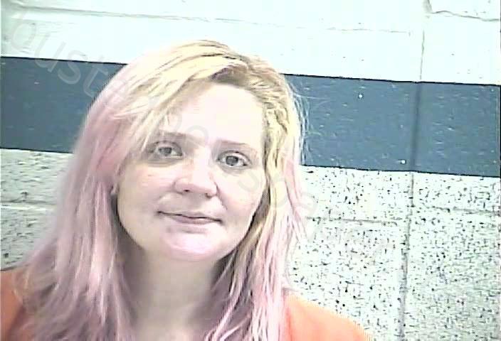 NORRIS, VIRINIA MICHELLE #, Breckinridge County, Kentucky - 2023-09-27 13:36:00