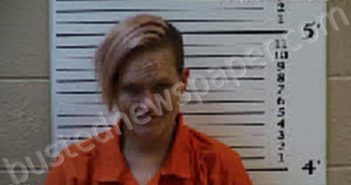 LEMON, LINDSEY ANN | 2023-09-28 03:18:00 Cherokee County, North Carolina Booking