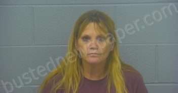 FITZSIMMONS, <B>KELLY</B> <B>ANN</B> #, <b>Greene</b> County, Missouri, Greene County, Missouri - 2023-09-28 02:27:00