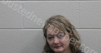 SHERRY EILEEN ROBERTSON | 2023-09-29 02:07:00 Andrew County, Missouri Booking