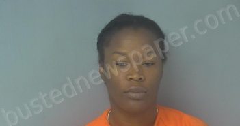 MCKINNEY, SHANTE EVANS | 2023-09-29 08:15:00 Virginia Peninsula Regional Jail, Virginia Booking