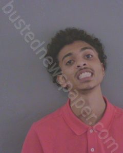 LEWIS, TREVON OCTAVIOUS | 2023-09-29 11:31:00 Sumter County, Florida Booking