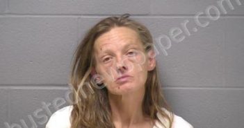 LICCARDI, LISA M | 2023-09-30 23:38:00 Will County, Illinois Booking