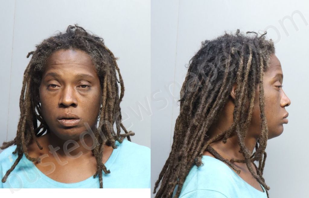 JOHNSON, NATASHA KIM #, Miami-Dade County, Florida - 2023-10-04 10:45:00
