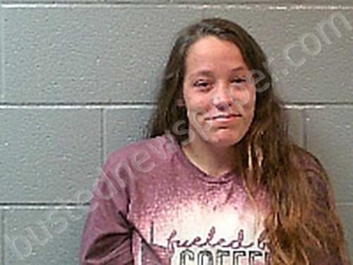 TOLLIVER, ELIZABETH ASHLEY FAYE #, Huron County, Ohio - 2023-10-06