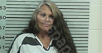 LYON, CINDY DOREEN | 2023-10-06 01:45:46 Hood County, Texas Booking