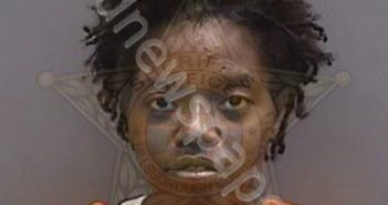 <B>EVERETT</B>,<B>QUANTILL</B> #, Hillsborough County, Florida - 2023-10-07 01:01:00