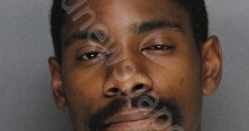 JOHNSON, PARRIS DUPRI | 2023-10-08 15:36:00 Ellis County, Texas Booking