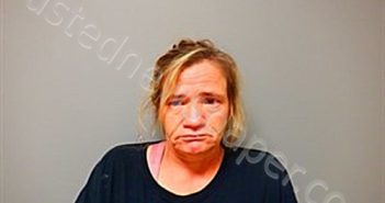 WAGGLE, MELISA ANN | 2023-10-09 19:46:00 Craighead County, Arkansas Booking