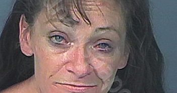 THOMSON, KIMBERLY FAYE | 2023-10-10 13:59:00 Hernando County, Florida Booking