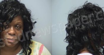 JONES, BRENDA DENICE | 2023-10-10 Roanoke County, Virginia Booking