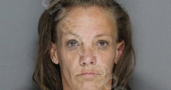 REED, RANDI MICHELLE | 2023-10-11 16:49:00 Ellis County, Texas Booking