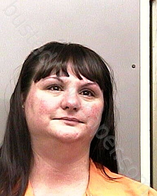 LANGFORD, ALLYSON LATTRELLE #, Taylor County, Florida - 2023-10-11 15:43:00