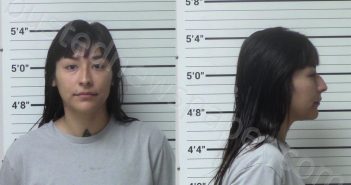 ROSALES, SIRENA RENE | 2023-10-12 Kerr County, Texas Booking