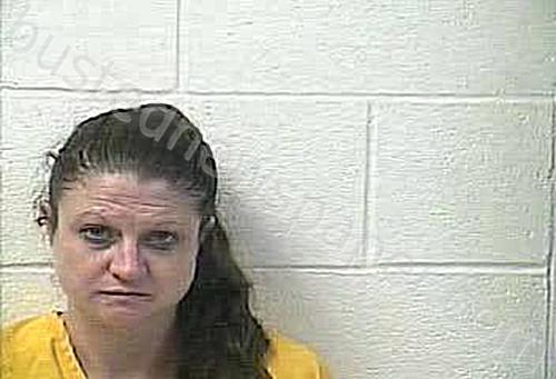 CALLOWAY, ELIZABETH MAELYNN #, Daviess County, Kentucky - 2023-10-13 22:29:00