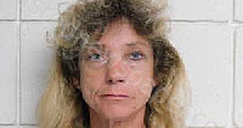 DREAMA COLLINS CARTER | 2023-10-13 21:04:00 Duplin County, North Carolina Booking