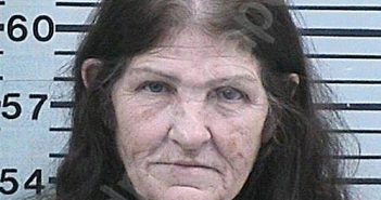 SEBASTIAN, SHERI LYNN | 2023-10-14 13:19:02 Hood County, Texas Booking