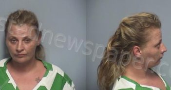 HAMILTON, JAMIE LEIGH | 2023-10-15 Roanoke County, Virginia Booking