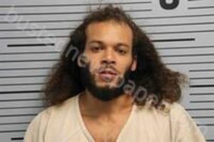 TYLER MICHAEL HARRISON | 2023-10-16 23:50:00 Jackson County, Alabama Booking